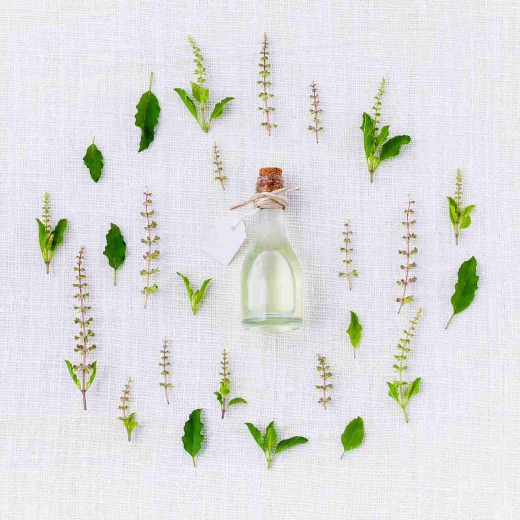 How to Use Medicinal Herbs