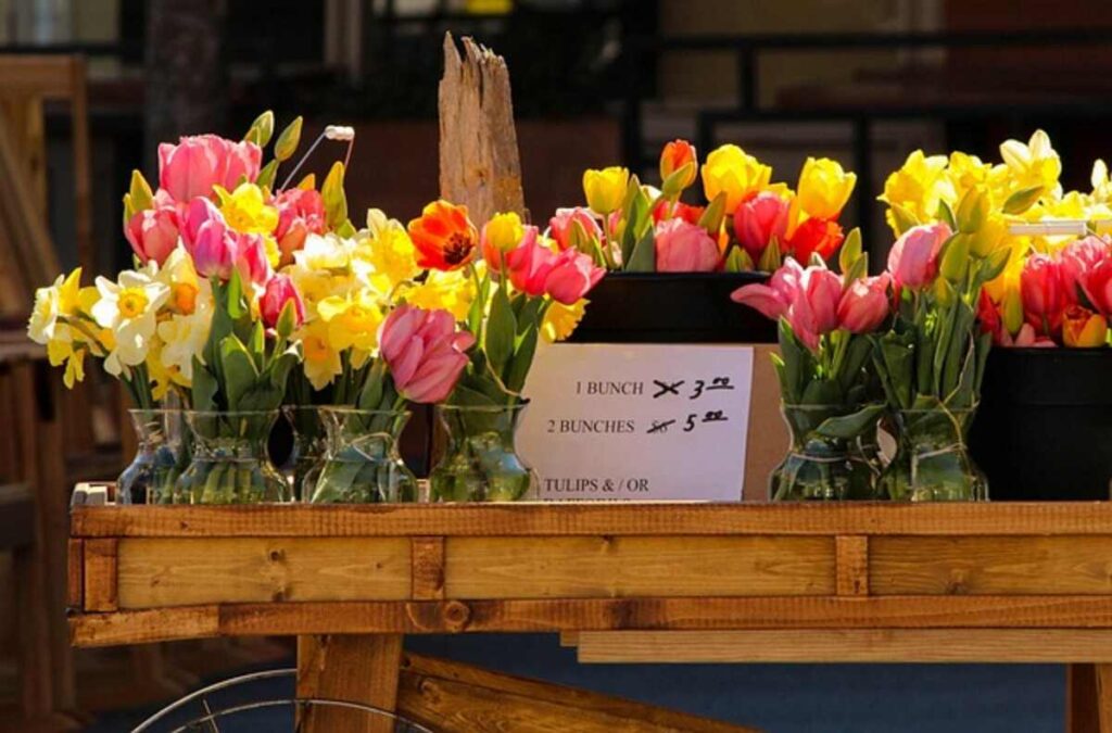 Plants For Sale