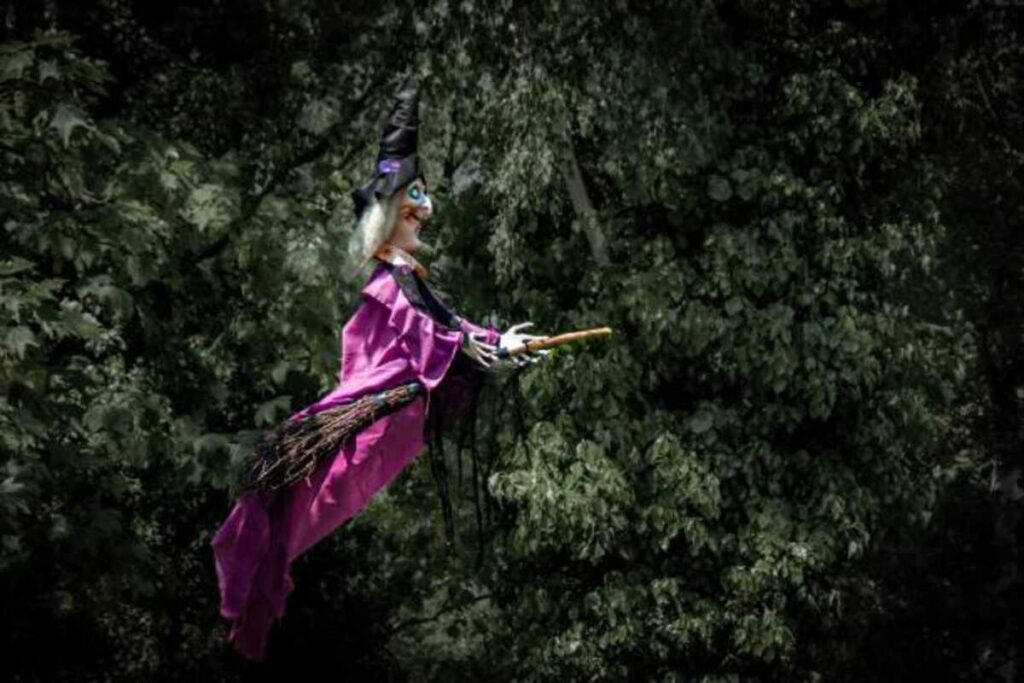 Beyond the Wand by Tom Felton