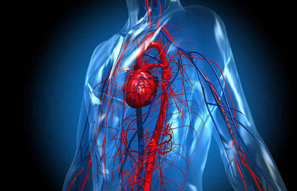 Center for Advanced Vein Care
